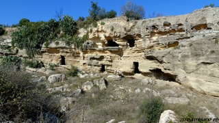 otta del Drago02-11-2014 13-55-35